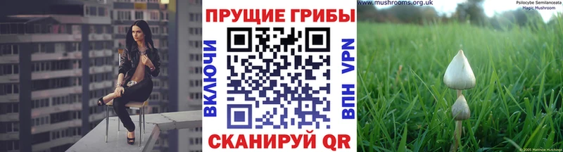 Галлюциногенные грибы мицелий купить сайты Заозёрный
